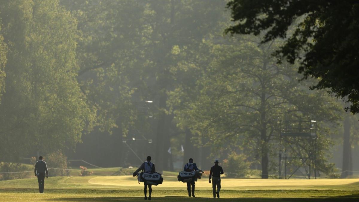Rinkven International is a largely flat venue laid out in dense woodland